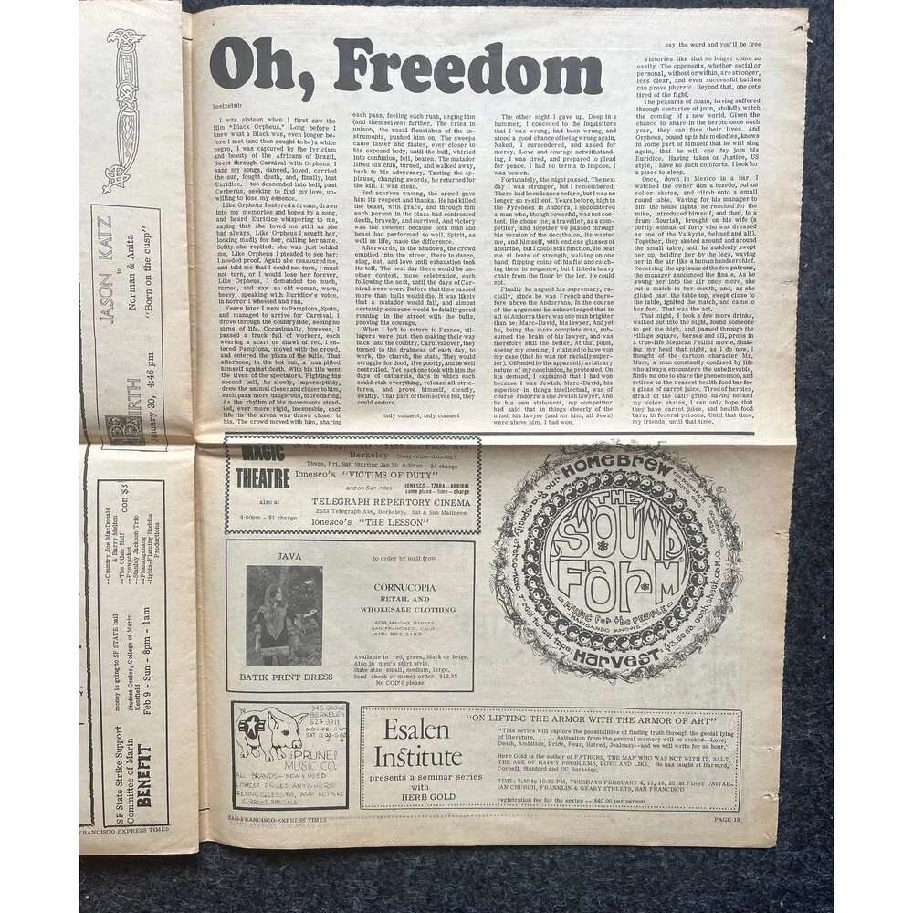 1970s Native American Underground Newspaper, Black Panther Party, Vintage Antiq